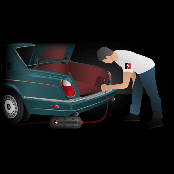 Rolls Royce Silver Seraph Battery Charger Conditioner Trickle Charger