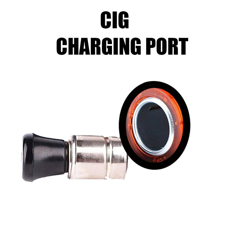 Campagna V13R T-Rex All Models Battery Charger Conditioner Trickle Charger