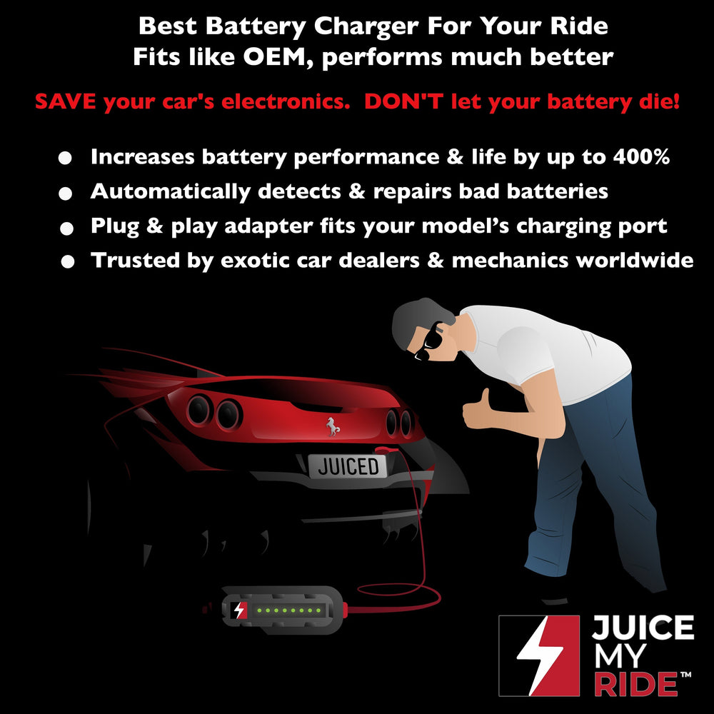Porsche battery charger. Fully automatic battery trickle charger